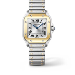 CARTIER Santos 31mm Silver Gold